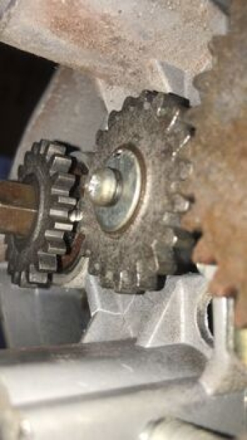 Manutenção de Porta de Enrolar Automática em Mazagão - Amapá